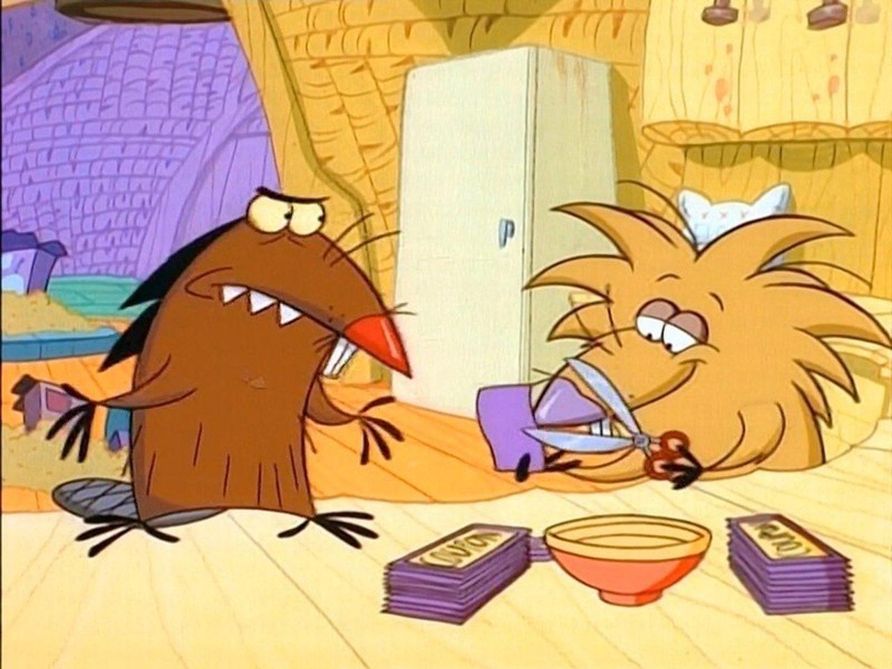 Boxtop Beavers