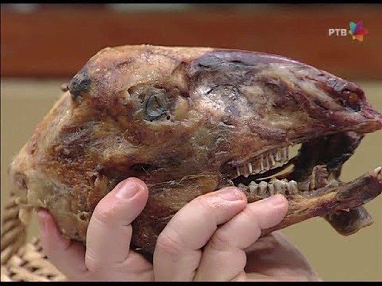 Novogodišnji specijal 2019