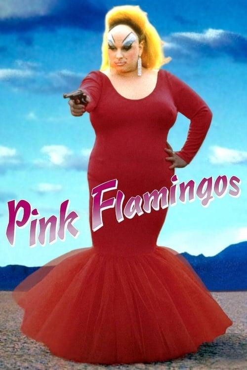 Download Pink Flamingos poster