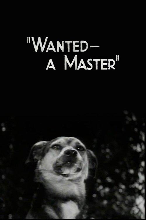 Download Wanted - A Master poster