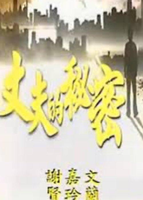 Download Secret of a Husband poster