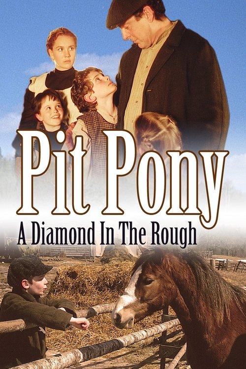 Download Pit Pony poster