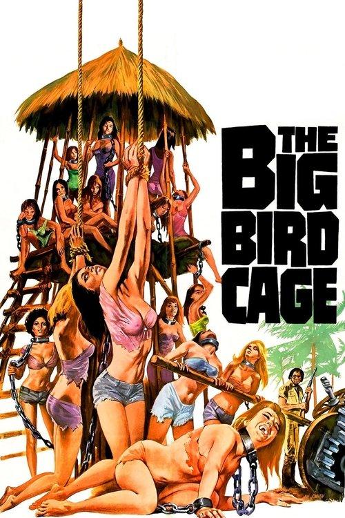 Download The Big Bird Cage poster
