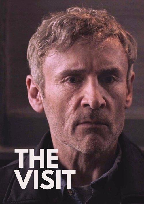Download The Visit poster