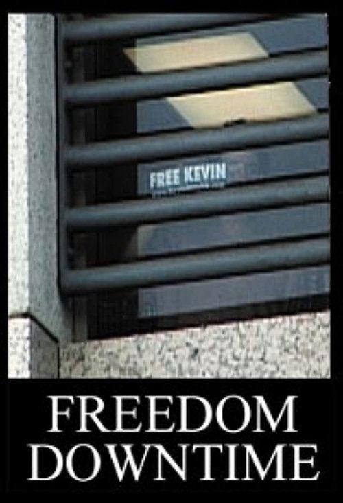 Download Freedom Downtime poster