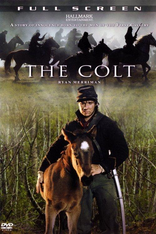 Download The Colt poster