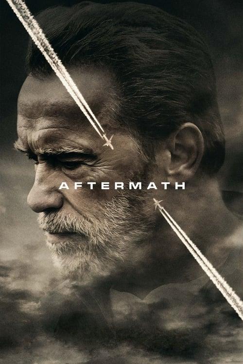 Download Aftermath poster