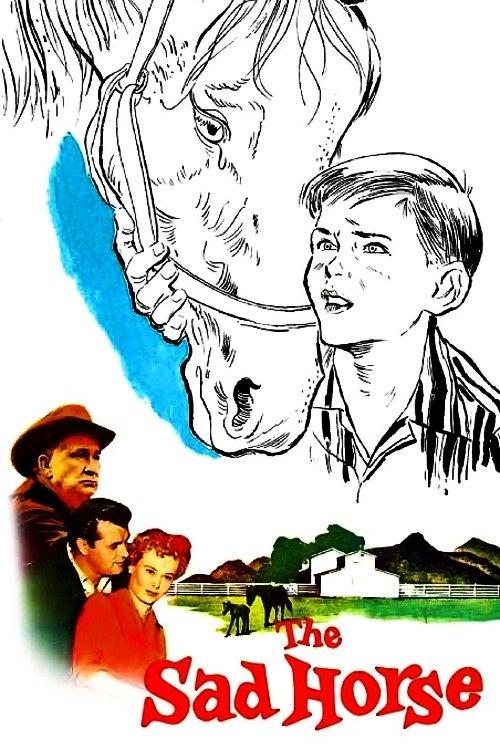 Download The Sad Horse poster