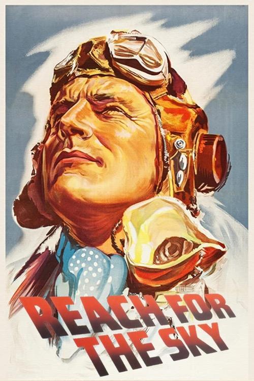 Download Reach for the Sky poster