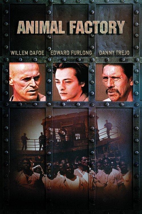 Download Animal Factory poster