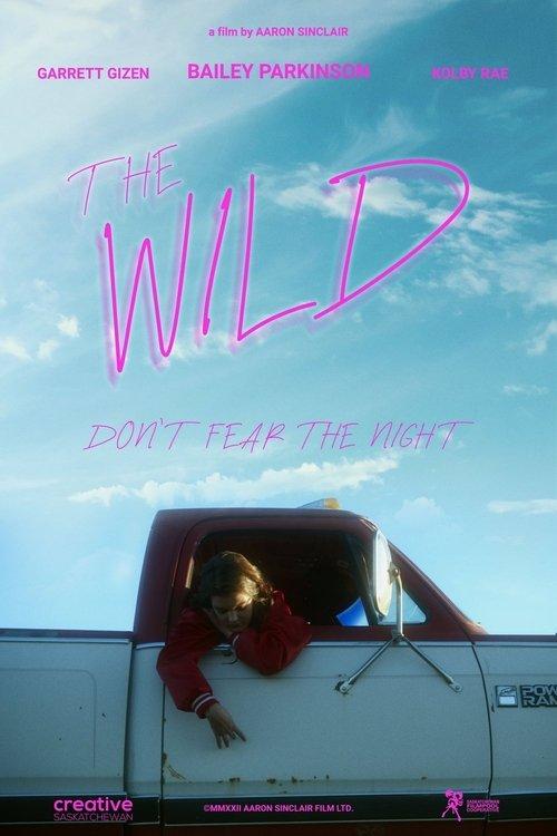 Download The Wild poster