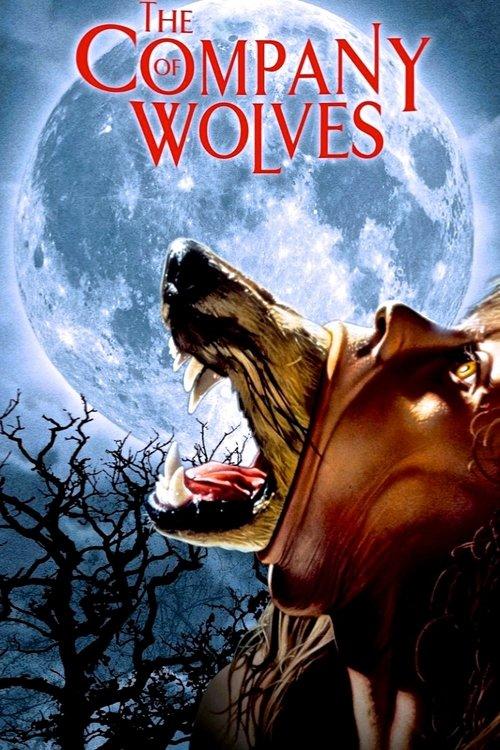 Download The Company of Wolves poster