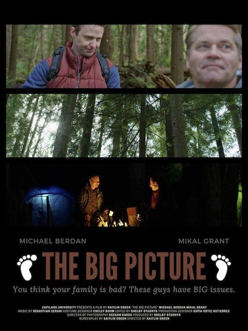 Download The Big Picture poster