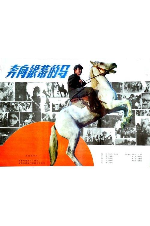 Download A Horse Galloping Toward Screen poster