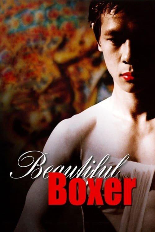 Download Beautiful Boxer poster