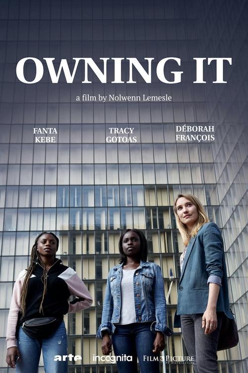Download Owning it poster