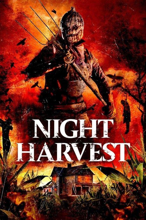 Download Night Harvest poster