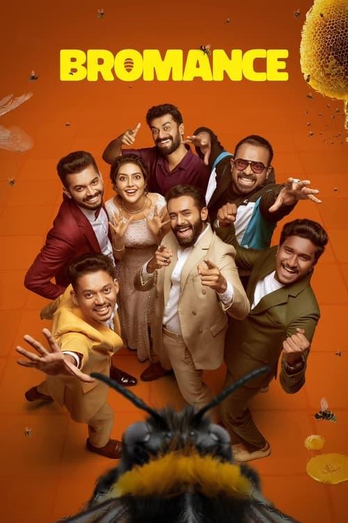 Download Bromance poster