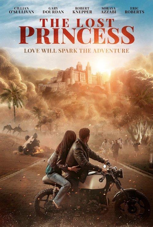 Download The Lost Princess poster