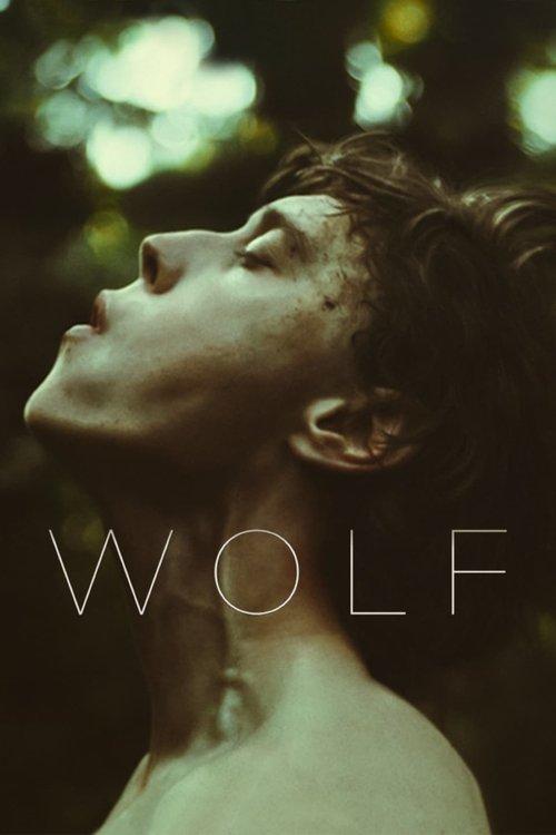 Download Wolf poster