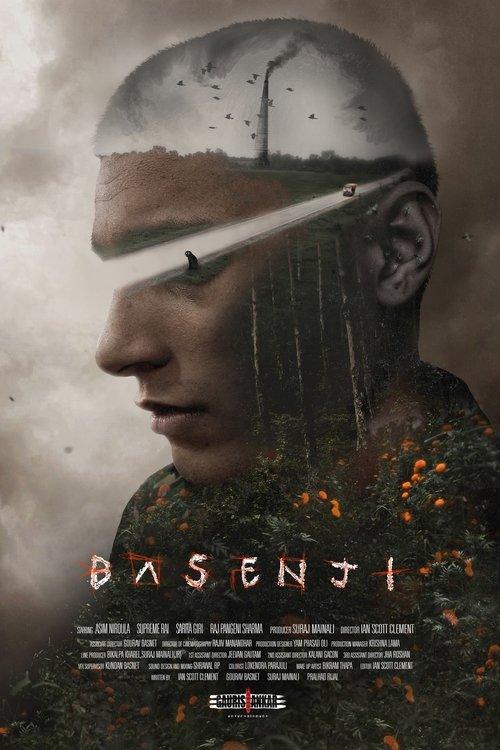 Download Basenji poster