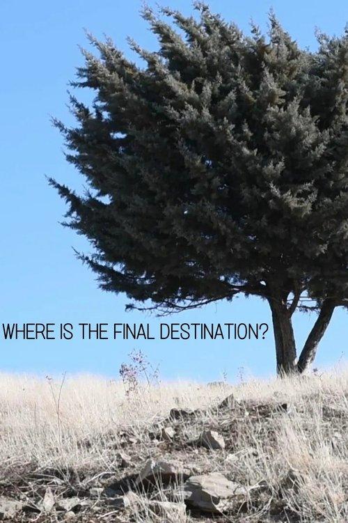 Download Where is the Final Destination? poster