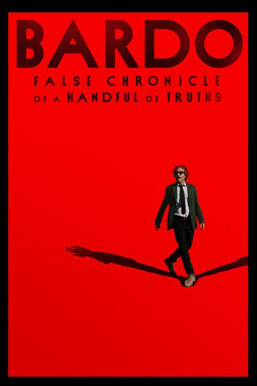 Download BARDO, False Chronicle of a Handful of Truths poster