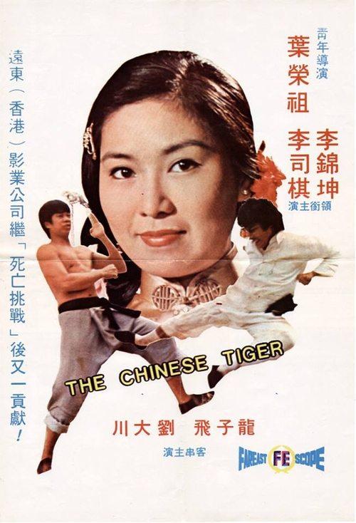 Download The Chinese Tiger poster