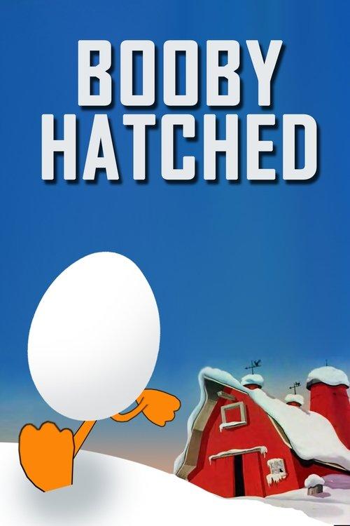 Download Booby Hatched poster