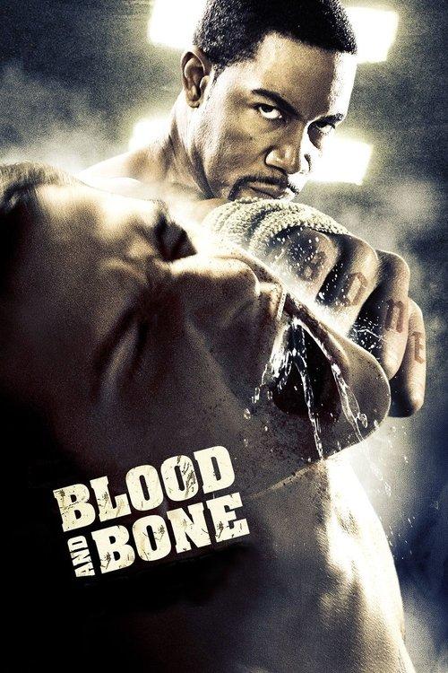 Download Blood and Bone poster