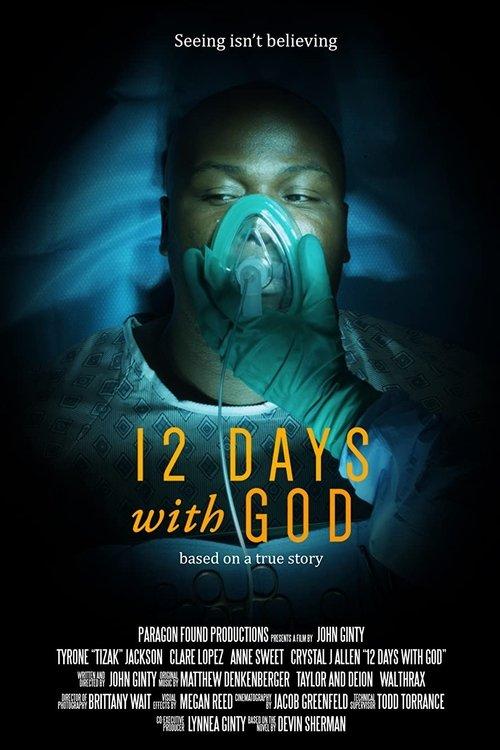 Download 12 Days with God poster