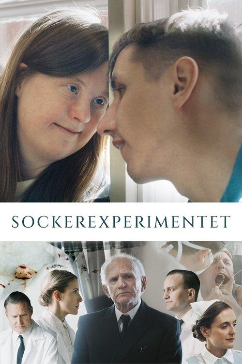 Download The Sugar Experiment poster