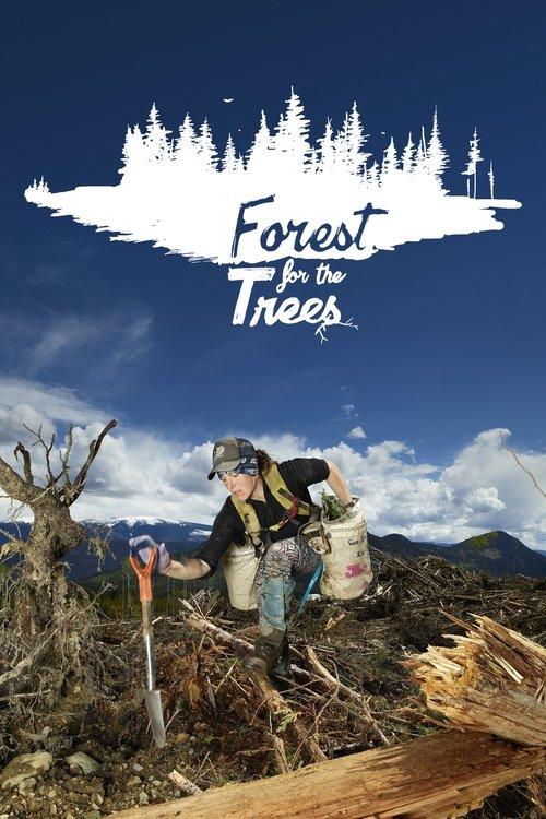 Download Forest for the Trees poster