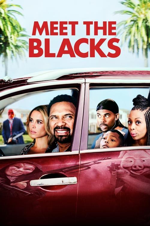 Download Meet the Blacks poster