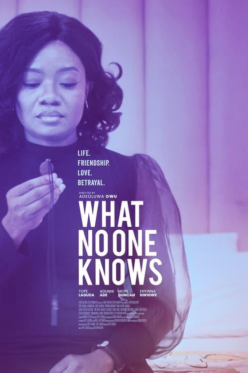 Download What No One Knows poster