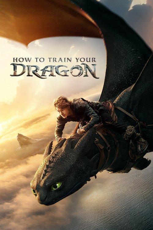 Download How to Train Your Dragon poster