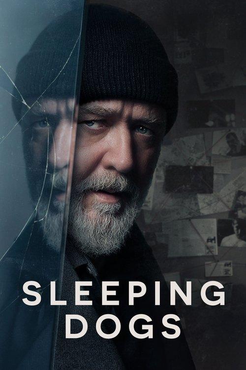 Download Sleeping Dogs poster
