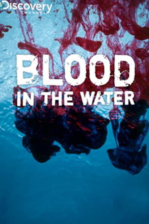 Download Blood in the Water poster