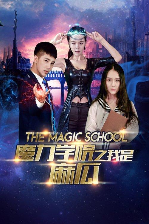 Download The Magic School poster