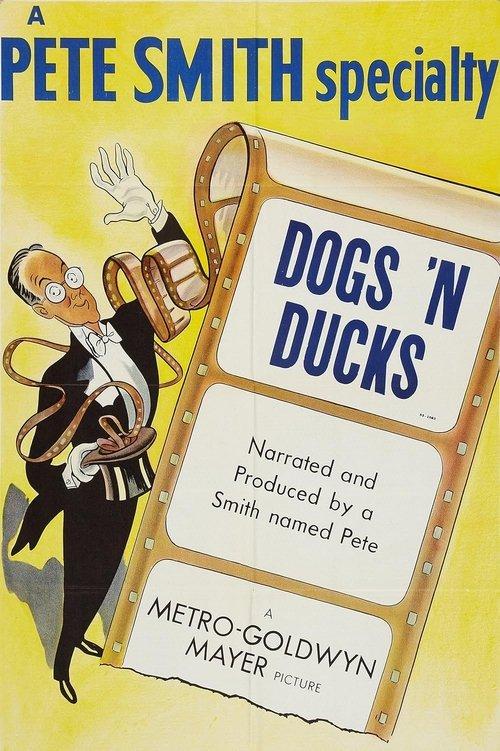 Download Dogs 'n Ducks poster