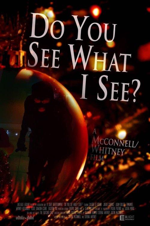 Download Do You See What I See? poster