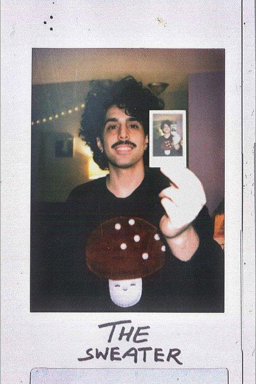 Download The Sweater poster
