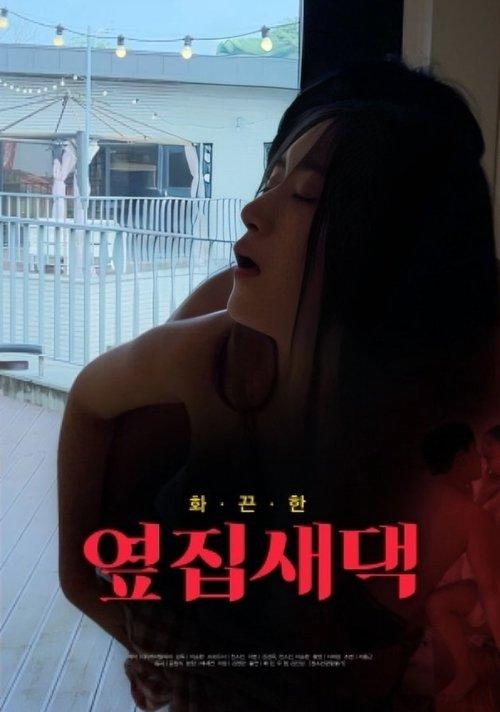 Download New Wife Next Door poster