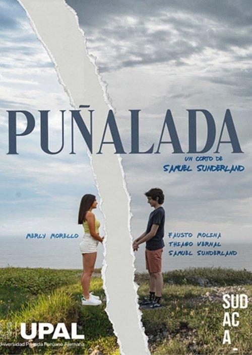 Download Puñalada poster