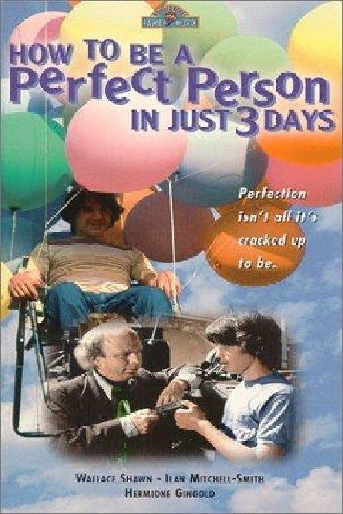 Download How to Be a Perfect Person in Just Three Days poster