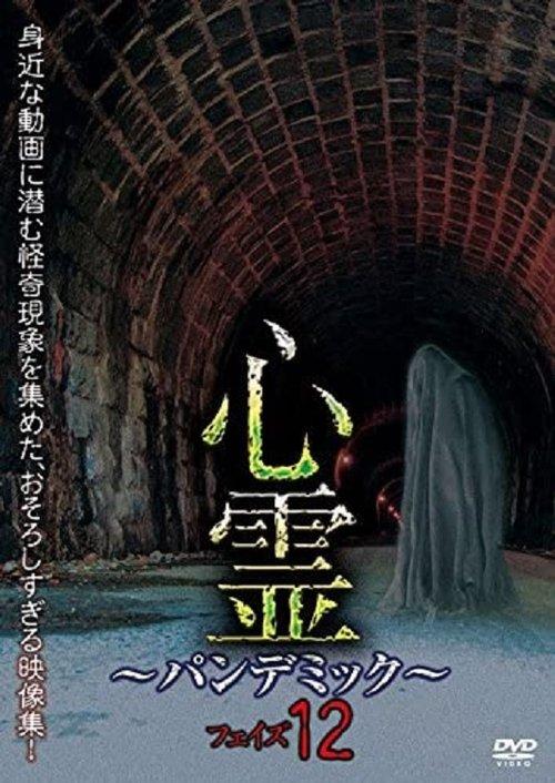 Download Spirit Pandemic Phase 12 poster