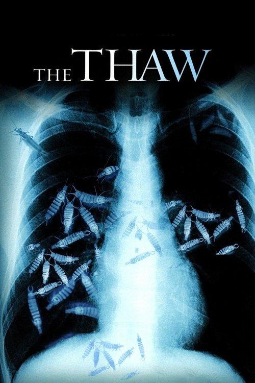 Download The Thaw poster