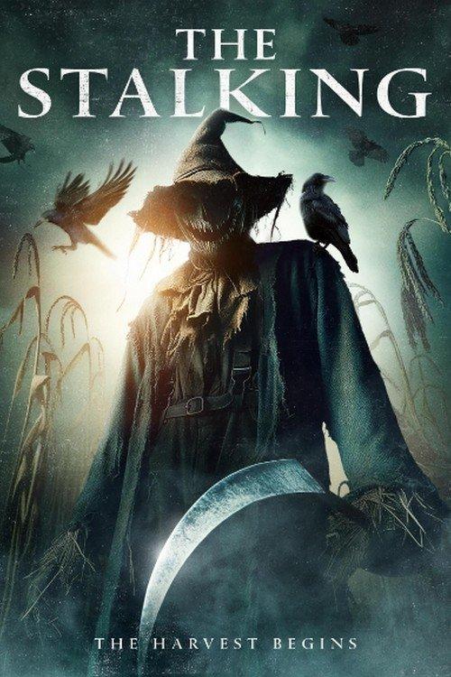 Download The Stalking poster