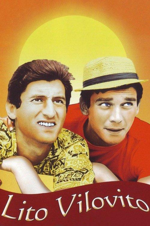 Download Mad Summer poster