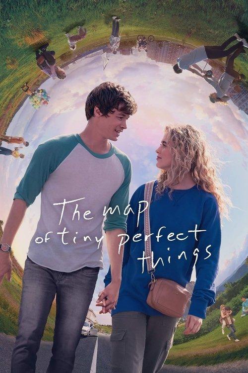 Download The Map of Tiny Perfect Things poster